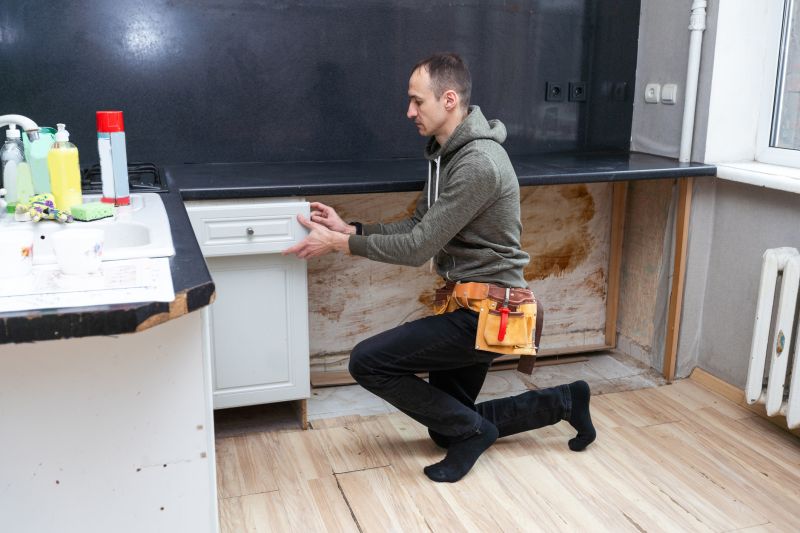 Pre-Holiday Cabinet Preparation